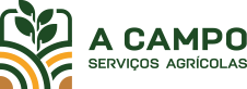 A Campo Logo